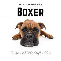 Boxer (Primal Astrology)