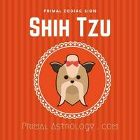 Shih Tzu (Primal Astrology)