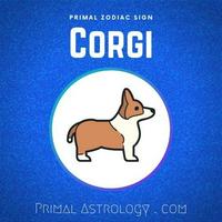 Corgi (Primal Astrology)