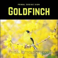 Goldfinch (Primal Astrology)