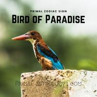 Bird-Of-Paradise (Primal Astrology)