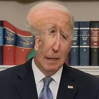 Joe Biden (YTP)