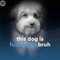 this dog is fucked up bruh