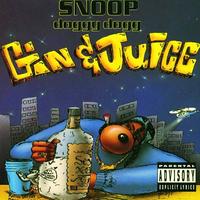 Snoop Dogg - Gin & Juice