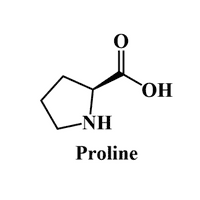 Proline