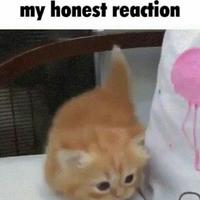 My honest reaction