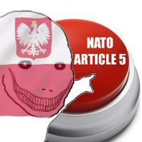 NATO Article 5