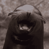 Slappy