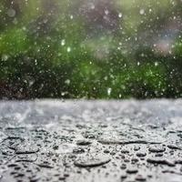 Acid rain