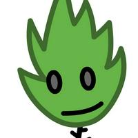 Nettle - Крапива