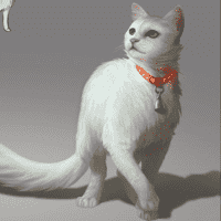 Mogget