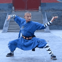 Kung Fu