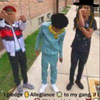I pledge of allegiance to my gang