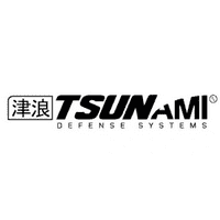 Tsunami Defense Systems