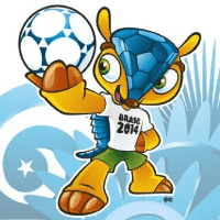 Fuleco (Brazil 2014)