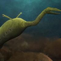 Tullimonstrum (Tully Monster)