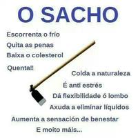 O sacho