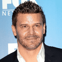 David Boreanaz