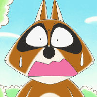 Araiguma (Raccoon)