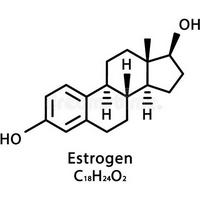 Estrogen (Hormone)