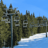 East Bull Trees - Mt. Washington.