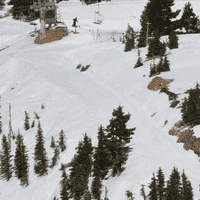 Dingo - Mt. Washington.