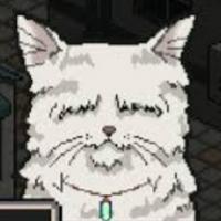 Elder Cat
