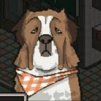 Doggo