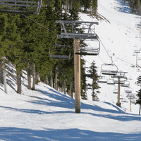 Boomerang - Mt. Washington.