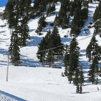 Sucker Chutes - Mt. Washington