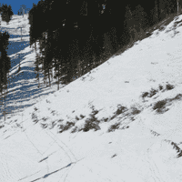 McKay Glades - Mt. Washington