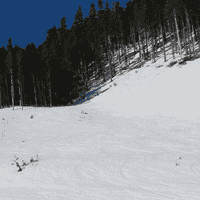 Copper Glades - Mt. Washington