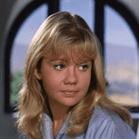 Nikky Ferris