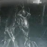 SCP 939 (dogs)