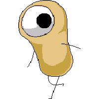 Pigula
