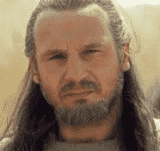 Qui-Gon Jinn Personality Type, MBTI - Which Personality?