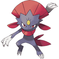 Weavile (Manyula)