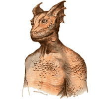 Argonian