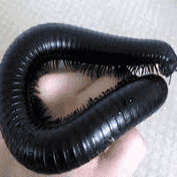 Millipede