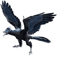 Archaeopteryx