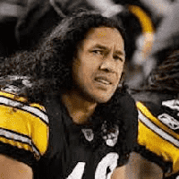 Troy Polamalu