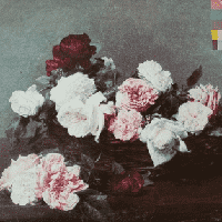 New Order - Power, Corruption & Lies