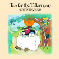 Cat Stevens - Tea For The Tillerman