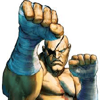 Sagat