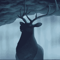 The Elk