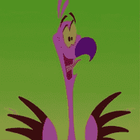 Yo Yo Flamingo