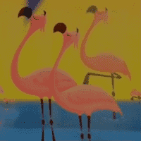 Snooty Flamingos
