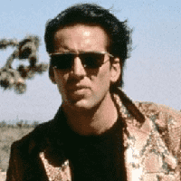 Wild at Heart (1990)