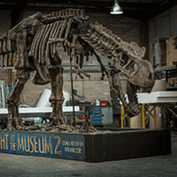 Rexy