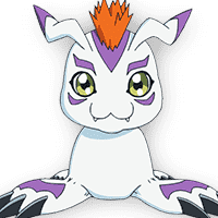 Gomamon